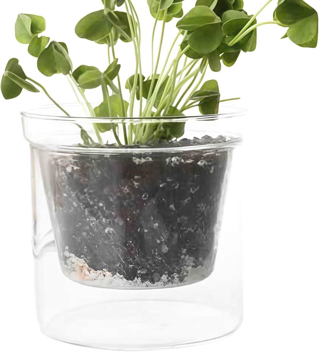 Bloempot - Plantenbak - Planten Verzorgen - Dubbellaags Reservoir - 13.9 cm - Transparant