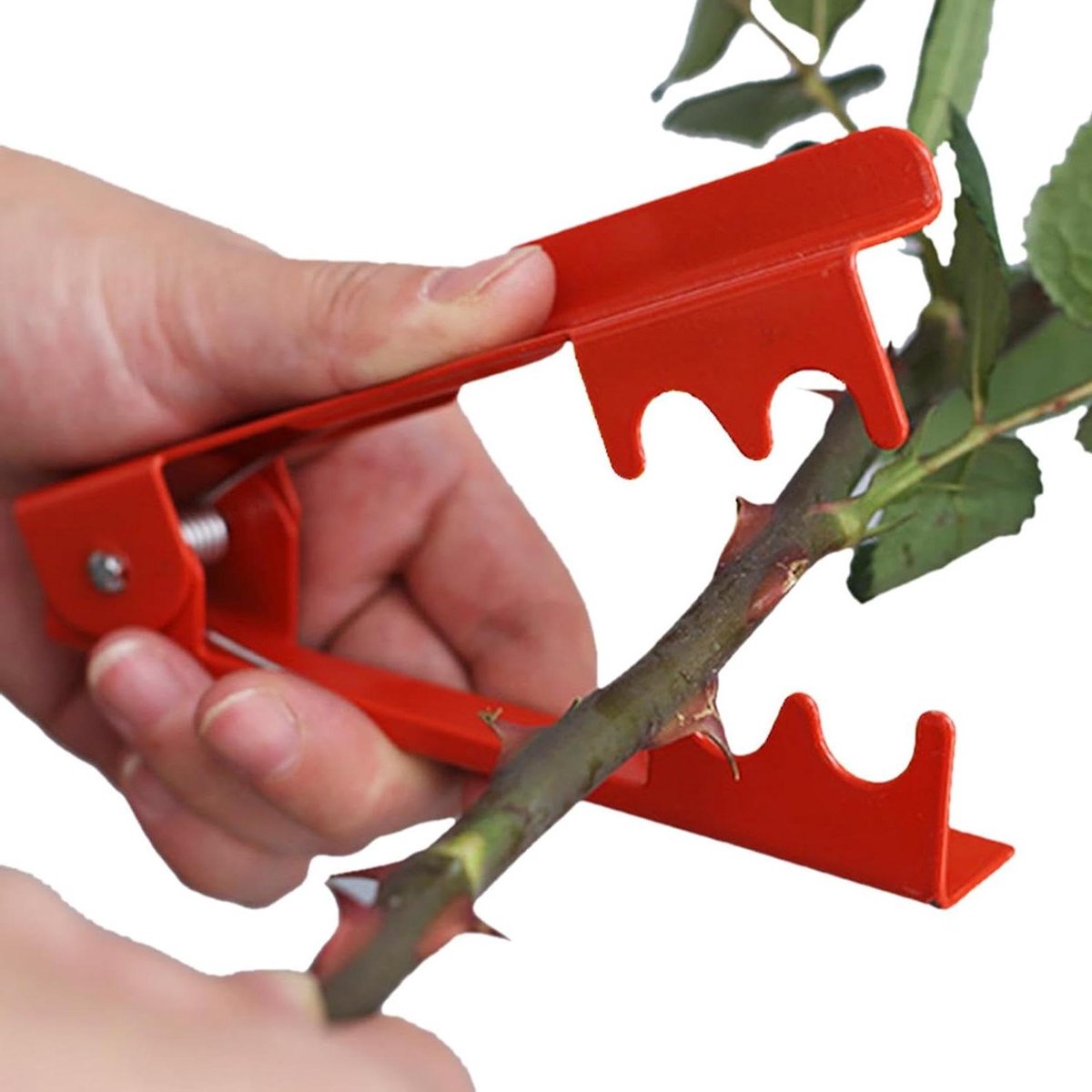 Rozen verwijderaar - Bloemtang - Doornen verwijderen - Efficiënt ontwerp - 1 stuk - Rood