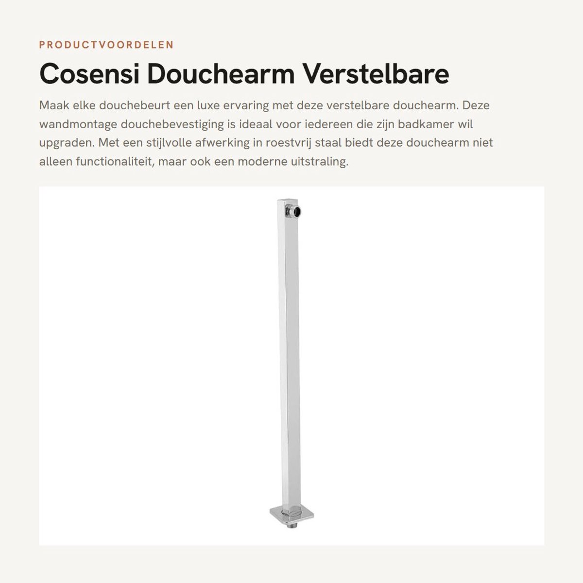 Dailygoods- Douchearm 60cm - Roestvrij Staal - Muur Gemonteerd - Badkamer Accessoire - Hoogwaardige Constructie - Comfortabel Douchen - Douchebeugel