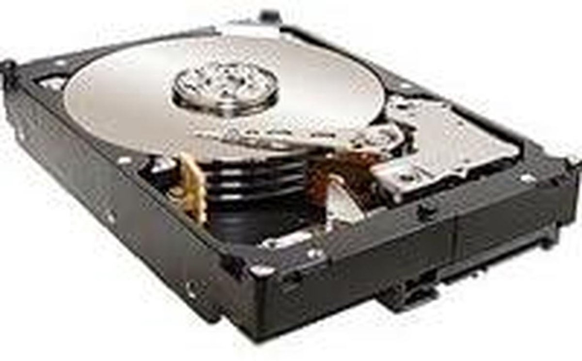 Interne Harde Schijf - Opslagstation Schijf - Gegevens Opslaan - Robuuste SAS Verbinding - 1 TB - Zilver