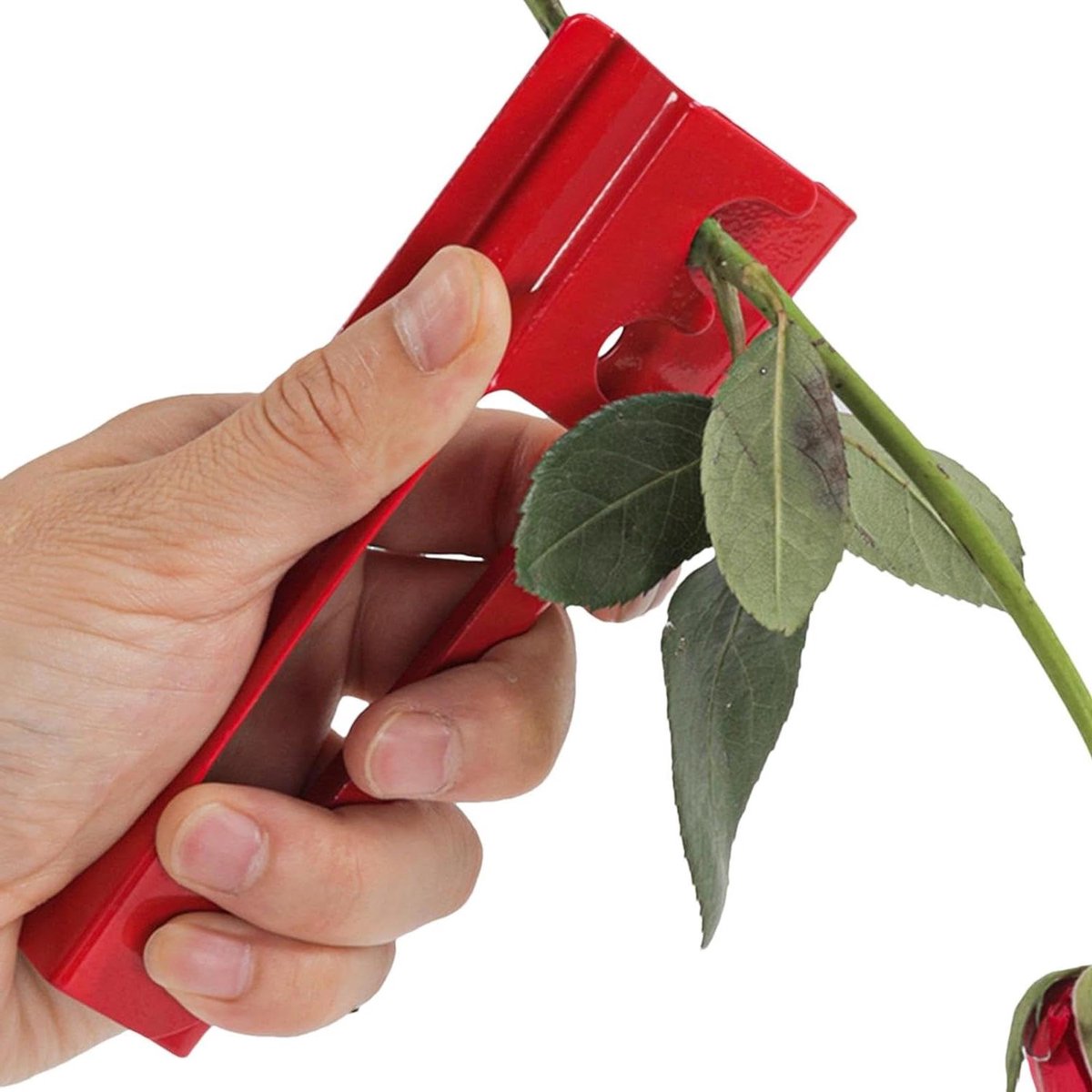 Doorn Stripper Tool - Rozen Tang - Bloemen Schikken - Dubbele Efficiëntie - 1 Stuk - Rood