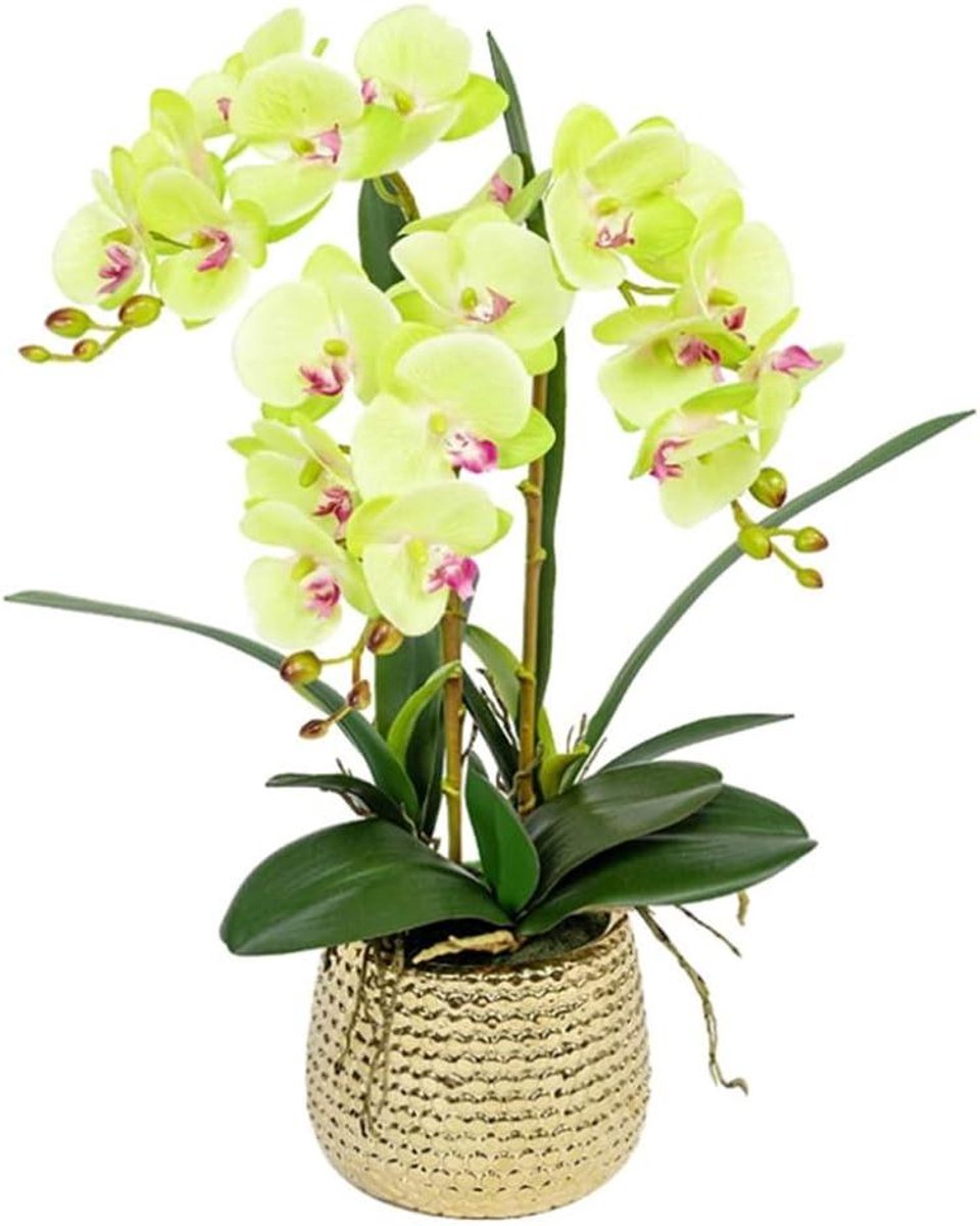 Kunstbloemen met gouden vaas Phalaenopsis Kunstbloem Binnen Plastic Bloem voor Thuis Woonkamer Eettafel Nepbloem Decoratie Levensecht