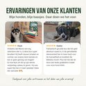 Een Berner Sennenhond en een chihuahua liggen en eten snacks. Klantrecensies.