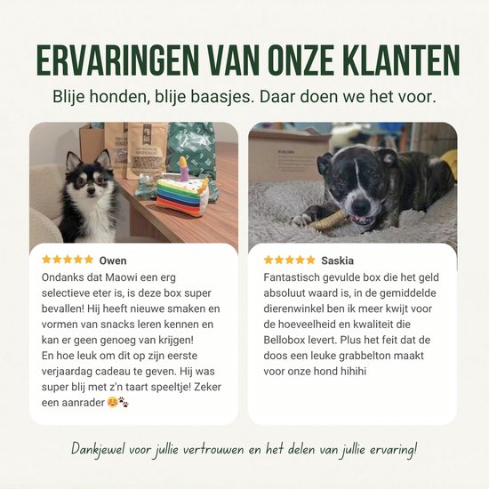 Een Berner Sennenhond en een chihuahua liggen en eten snacks. Klantrecensies.