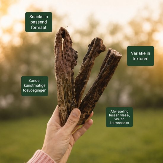 Hand met drie donkere, gedroogde hondensnacks, met tekst over snackformaat, textuur en ingrediënten.