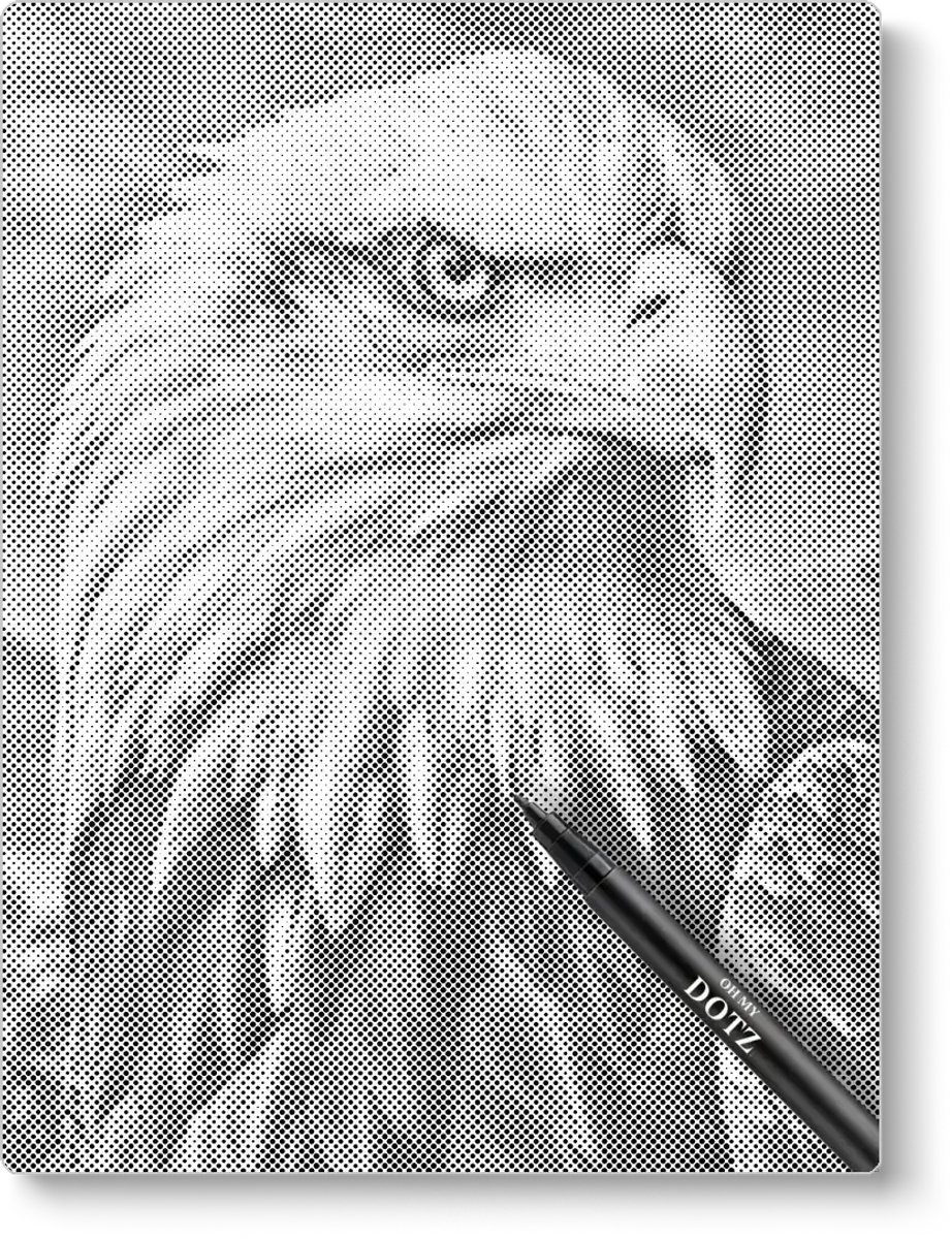 Adelaar | Dot painting | 40x50cm | Dot painting | Oh My Dotz | Dots stippen | Diamond painting & Schilderen op nummer alternatief | Happy hobby