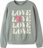 NAME IT NKFVASACHA LS NREG SWEAT UNB Meisjes Trui - Maat 158/164
