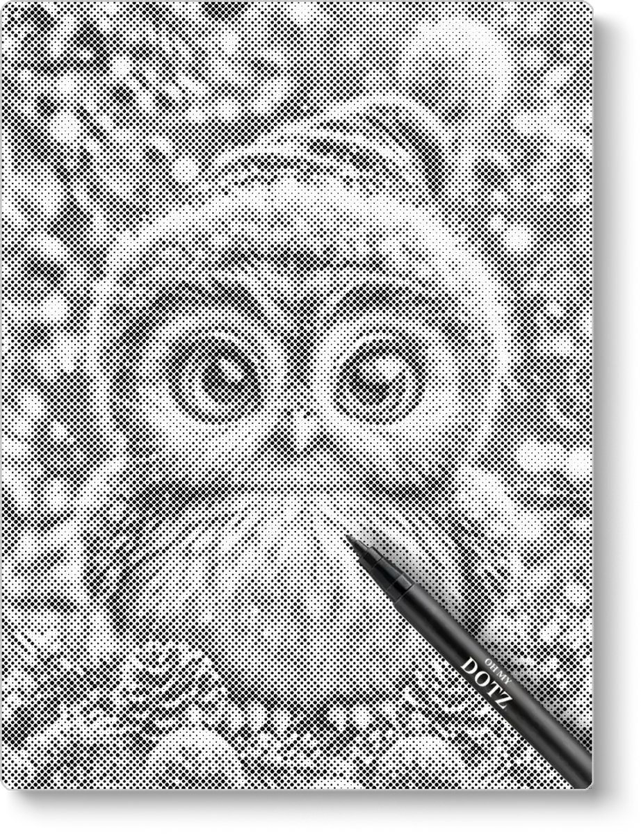 Kerst Uiltje | Dot painting | 40x50cm | Dot painting | Oh My Dotz | Dots stippen | Diamond painting & Schilderen op nummer alternatief | Happy hobby
