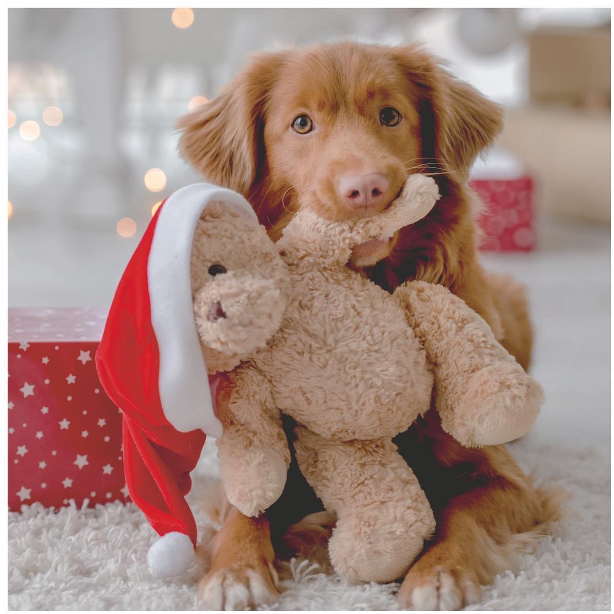 Duni servetten Woof kleurrijk tafelaccessoire 33x33cm voor kinderen.