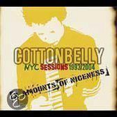 NYC Sessions 1993-2004: X Amounts Of Niceness