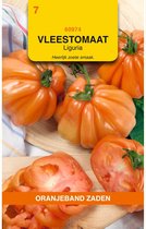 Oranjebandzaden -  Vleestomaat Liguria