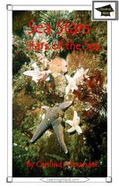 15-Minute Books - Sea Stars: Stars of the Sea: Educational Version