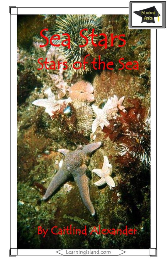 15-Minute Books 435 - Sea Stars: Stars of the Sea: Education ... - cover