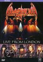 Magnum - Live From London (DVD)