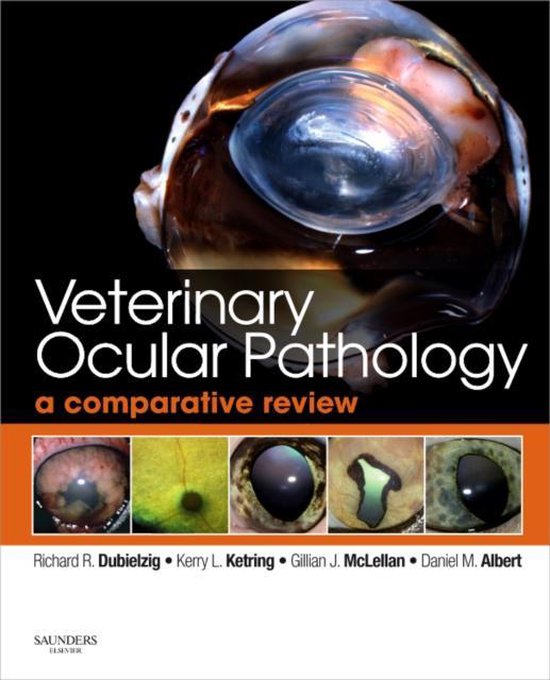 Veterinary Ocular Pathology - cover