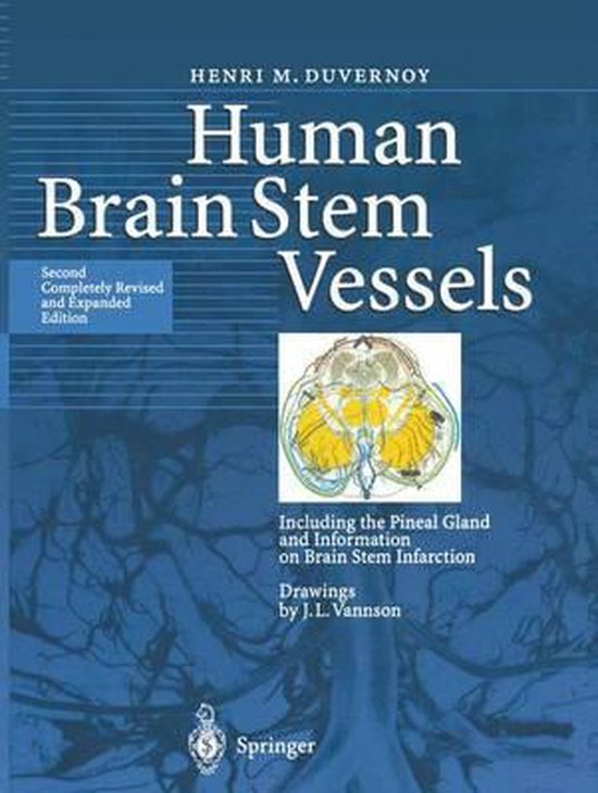 Human Brain Stem Vessels - cover