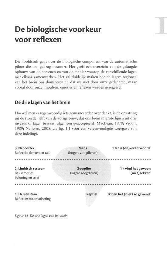 Het gelaagde brein