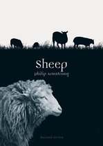 Animal - Sheep