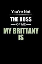 You're not the Boss of Me My Brittany Is