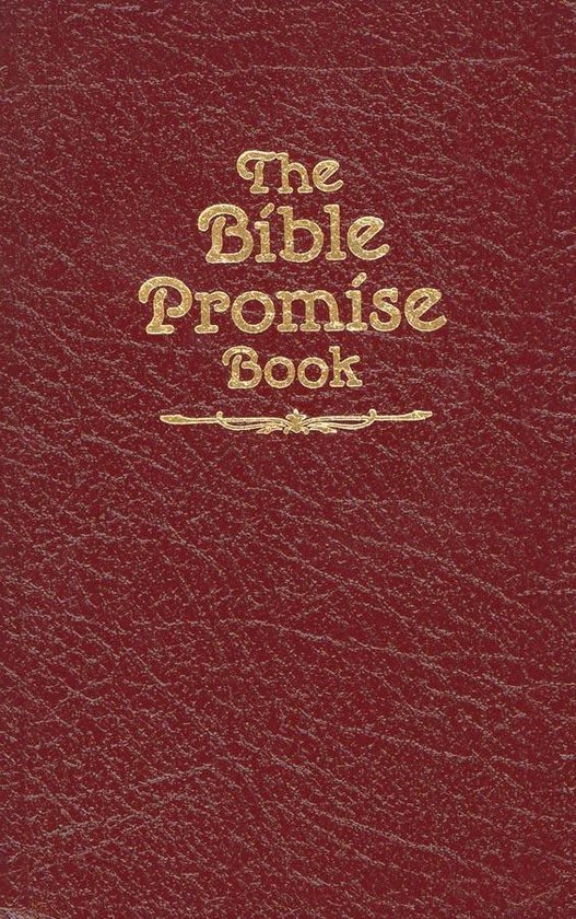 De rode kaft van 'The Bible Promise Book' met gouden letters.