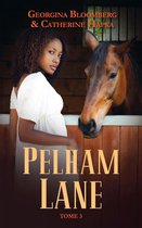 Pelham Lane 3 - Pelham Lane - Tome 3