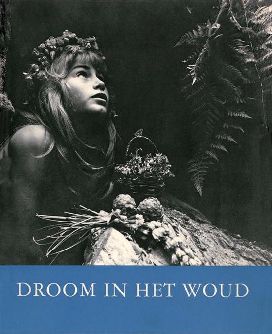 Cover van het boek 'Droom in het woud / Dream in the Forest' van Thomas Kando