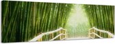 Bamboebos - Canvas Schilderij Panorama 158 x 46 cm