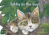 Tabby in the tree