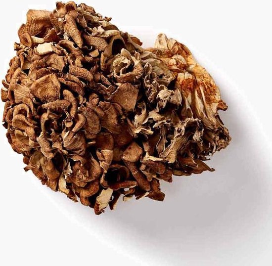 Mushrooms4Life / Maitake Paddenstoel extract biologisch 60CAPS