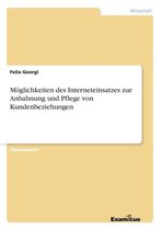 Moeglichkeiten des Interneteinsatzes zur Anbahnung und Pflege von Kundenbeziehungen