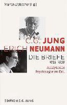 C.G. Jung und Erich Neumann: Die Briefe 1933-1959