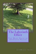 The Labyrinth Effect