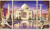 Schilderen op Nummer - Taj Mahal