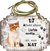 Spreukenbordje Kat: Kitten Oranje-Wit