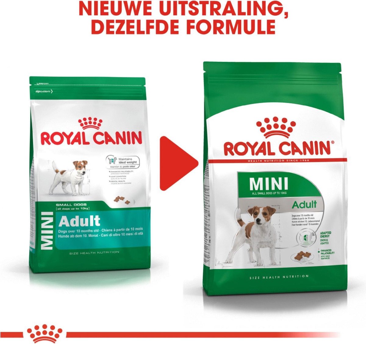 Royal Canin Mini Adult - Hondenbrokken - 8 KG | bol.com