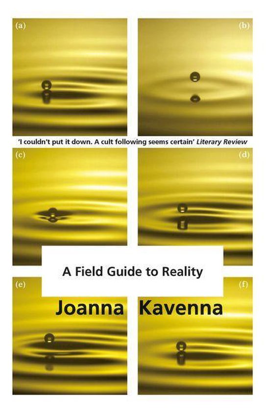 A Field Guide to Reality - cover
