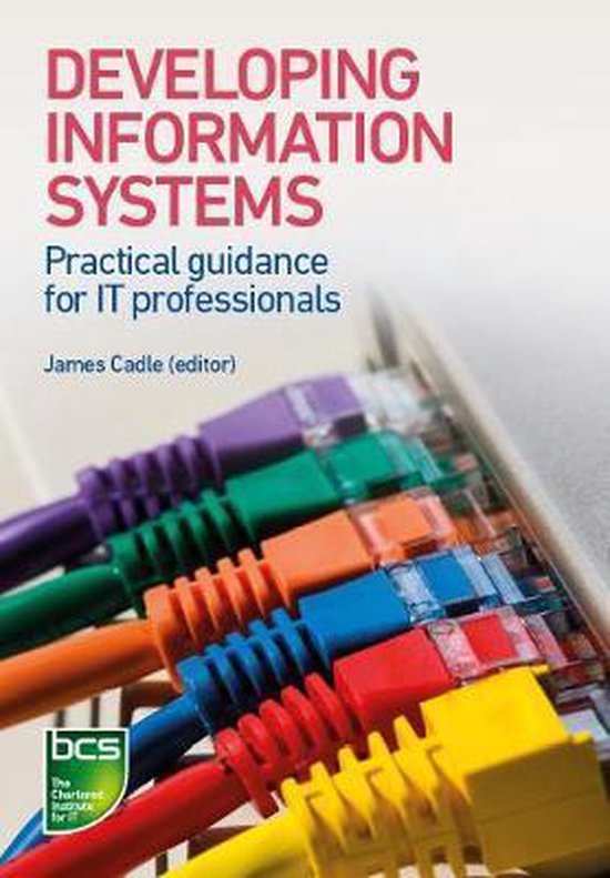 Developing Information Systems - cover