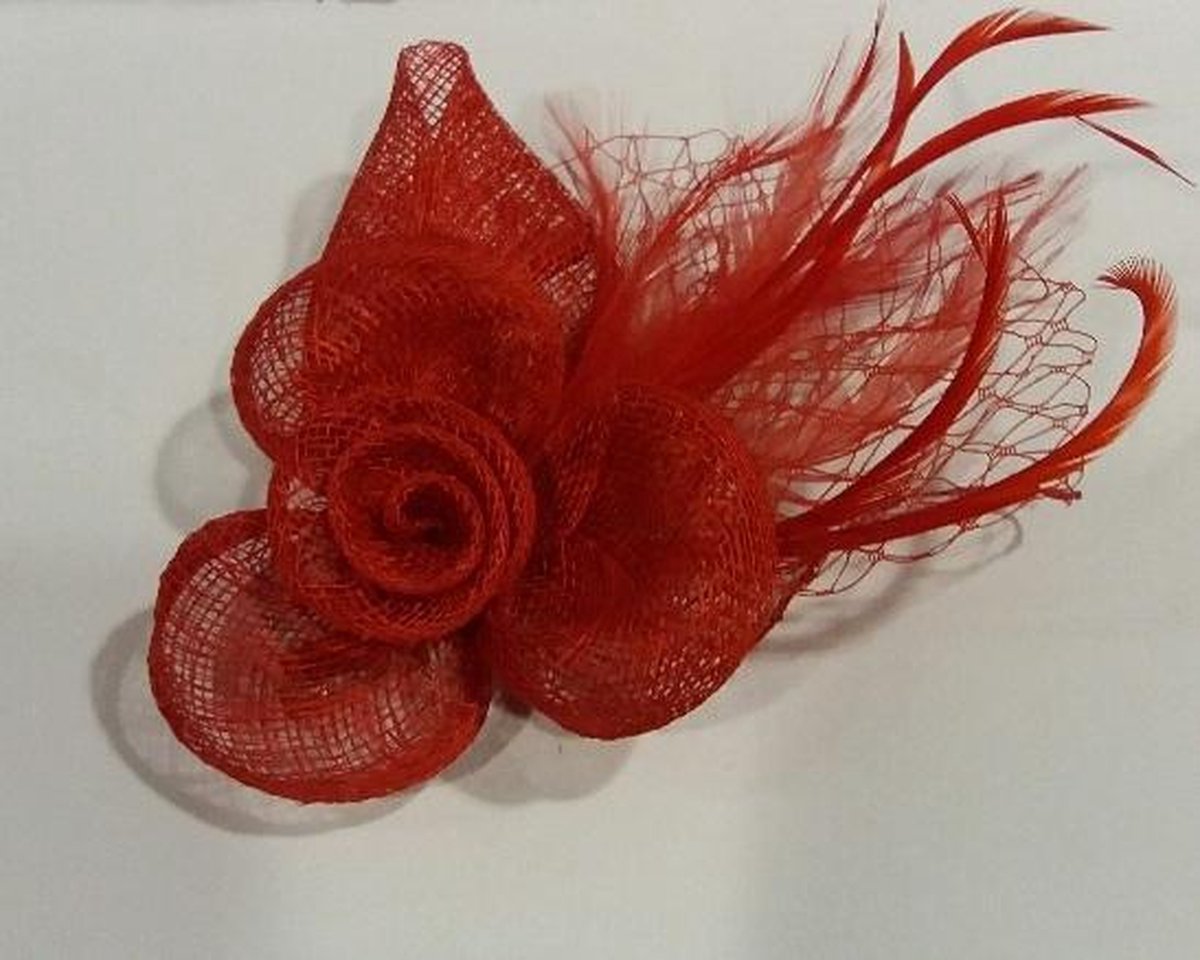 Besluit Kiezelsteen Doordeweekse dagen rode bloem corsage met haarclip | bol.com