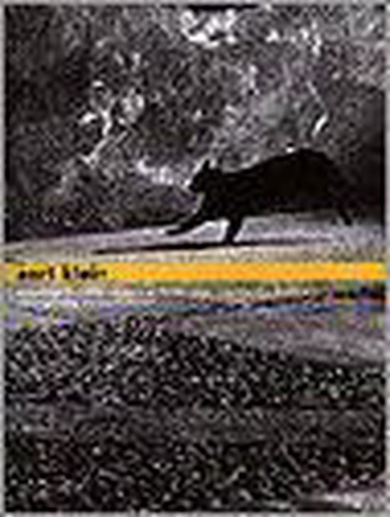 Aart klein (oeuvreprijs 1996) - Melchior de Wolff | Tiliboo-afrobeat.com