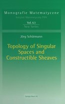 Topology of Singular Spaces and Constructible Sheaves