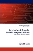 Ions Induced Granular Metallic Magnetic Silicide