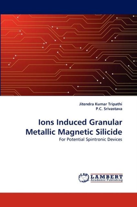 Ions Induced Granular Metallic Magnetic Silicide
