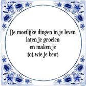 Tegeltje met Spreuk (Tegeltjeswijsheid): De moeilijke dingen in je leven laten je groeien en maken je tot wie je bent + Kado verpakking & Plakhanger