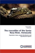 The crocodiles of the Santa Rosa River, Venezuela
