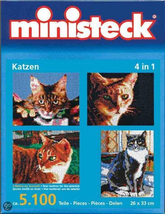 Ministeck Katten 4 In 1 | bol.com