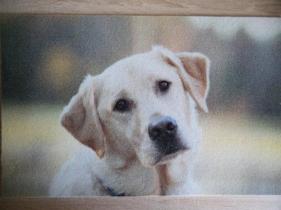 Deurmat Zwarte Labrador Retriever Hond Gedrukt Flanel Vloermat Antislip Deurmat Zwarte Labrador Retriever Hond Gedrukt Flanel Vloermat Antislip