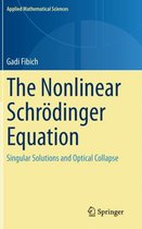 The Nonlinear Schroedinger Equation