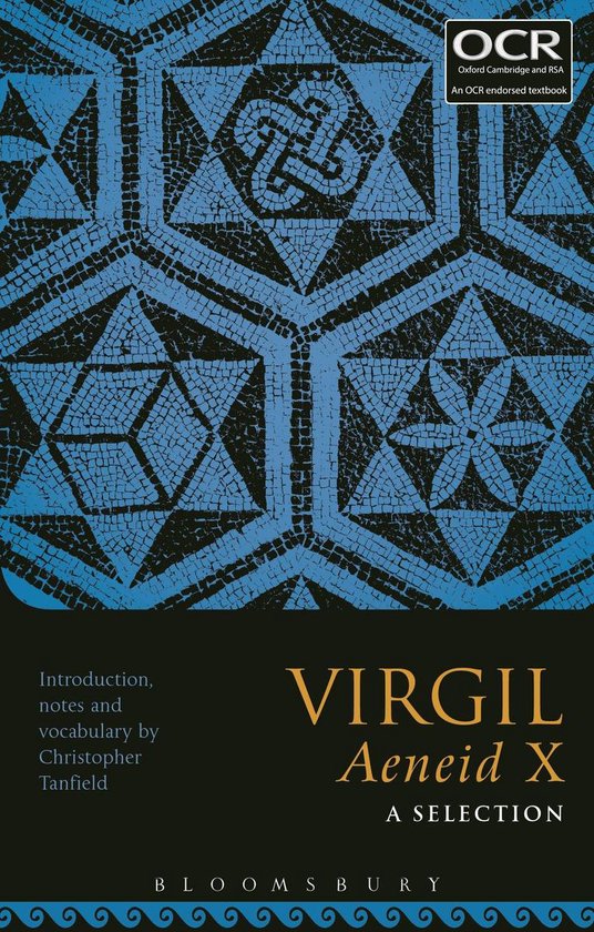 Virgil Aeneid X: A Selection - cover