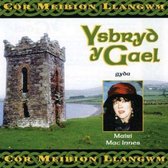 Ysbryd Y Gael (CD)