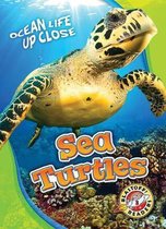 Ocean Life Up Close- Sea Turtles